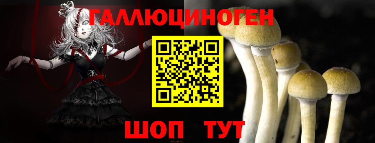 Галлюциногенные грибы GOLDEN TEACHER Евпатория